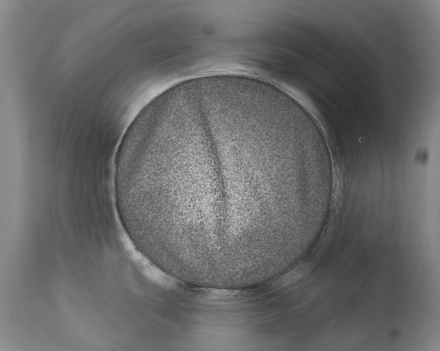 X0000114161439200911051454