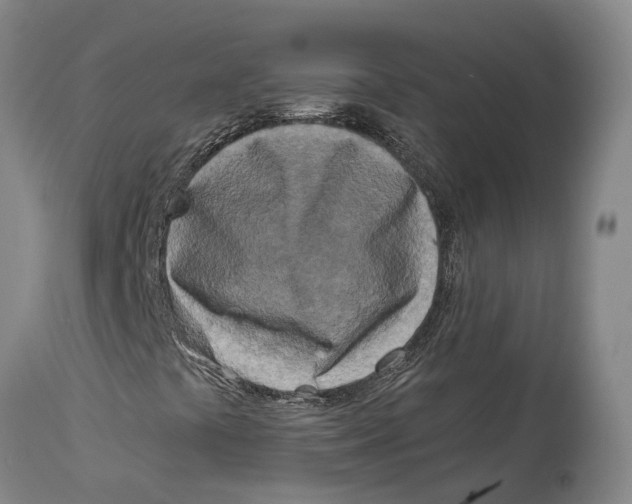 X0000114161441200911051454