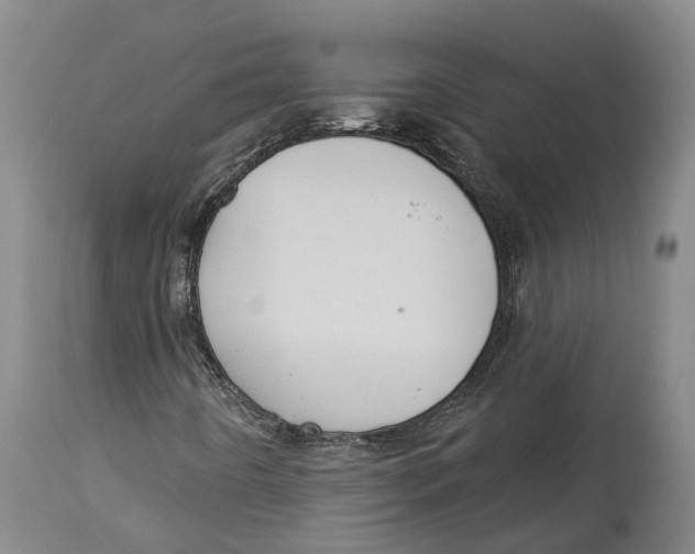 X0000114161442200911051454