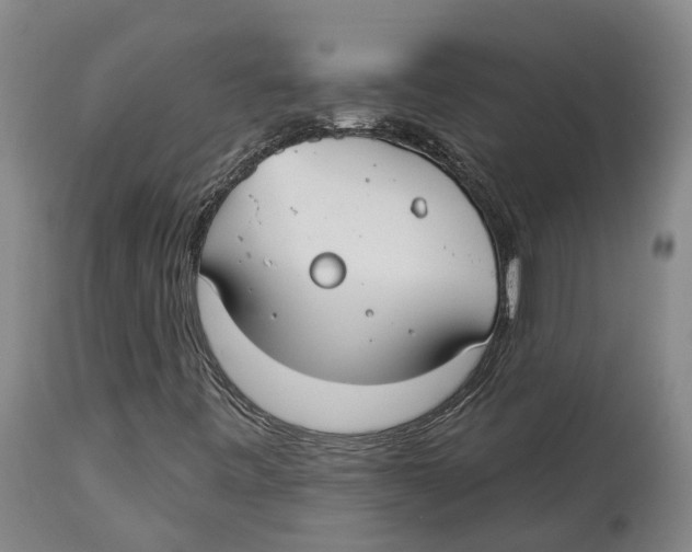 X0000114161443200911051454