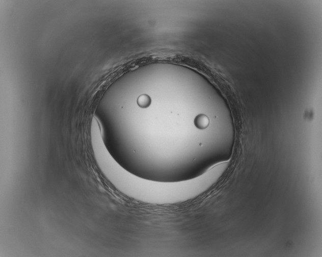 X0000114161445200911051454