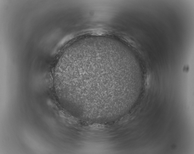 X0000114161446200911051454