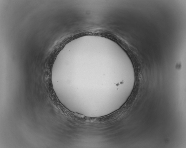 X0000114161447200911051454