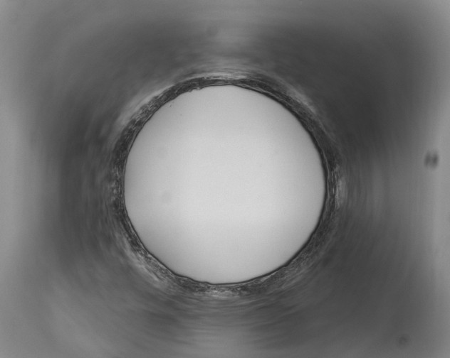 X0000114161448200911051454