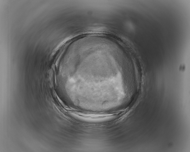 X0000114161449200911051454