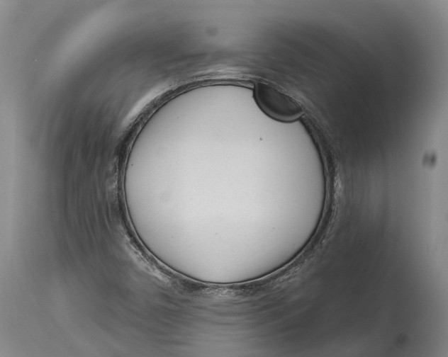 X0000114161450200911051454