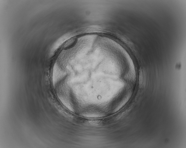 X0000114161453200911051454