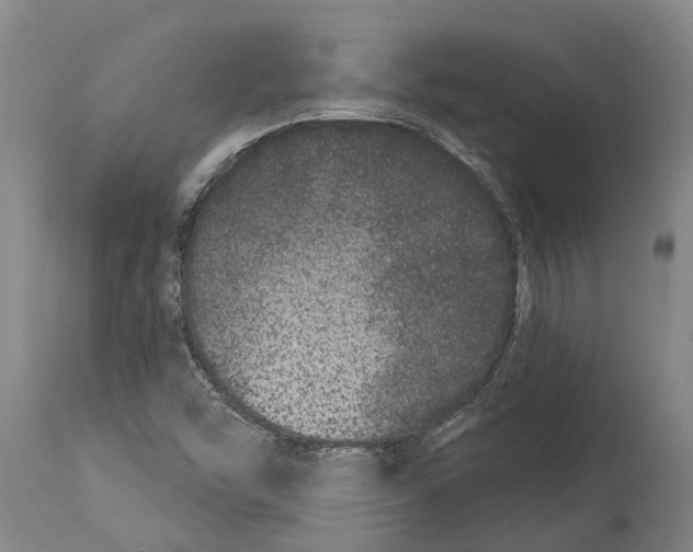 X0000114161454200911051454