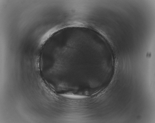 X0000114161455200911051454