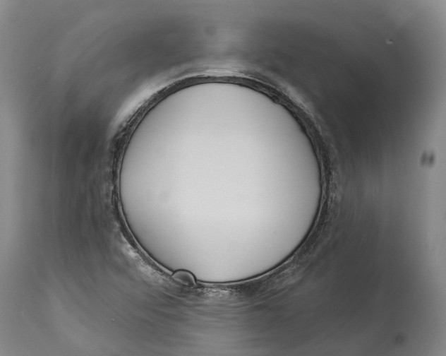 X0000114161456200911051454