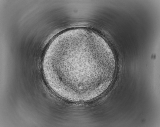 X0000114161457200911051454