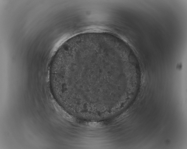 X0000114161459200911051454