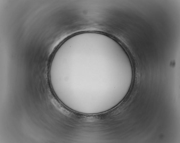 X0000114161460200911051454