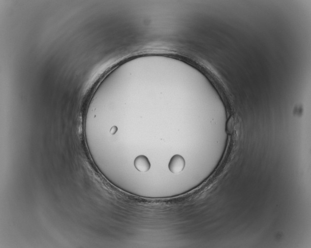 X0000114161461200911051454