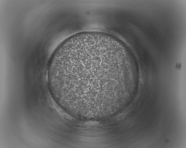 X0000114161462200911051454