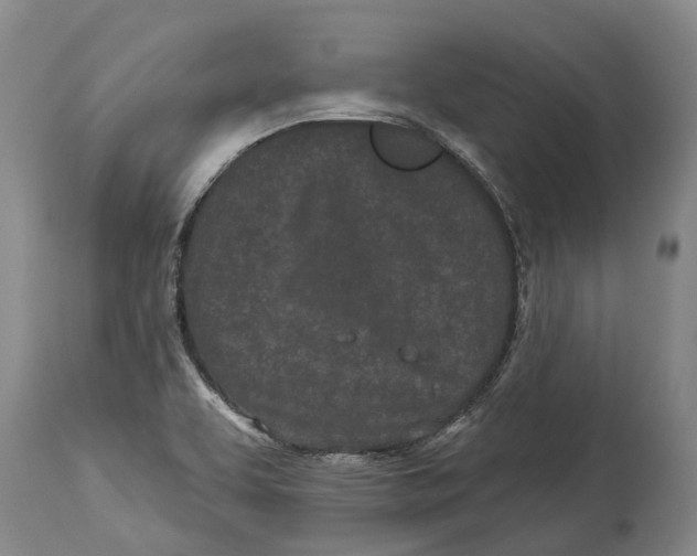 X0000114161463200911051454