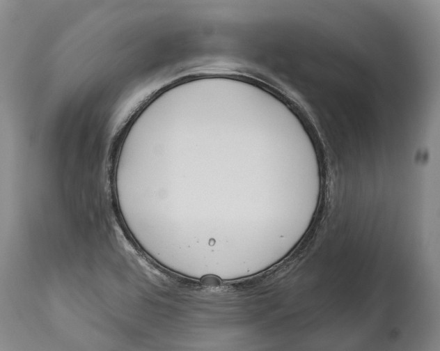 X0000114161464200911051454