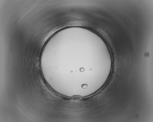 X0000114161465200911051454