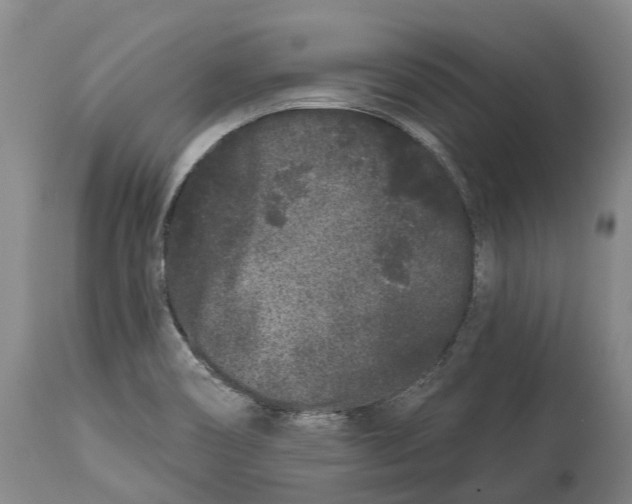 X0000114161466200911051454