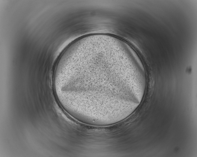 X0000114161468200911051453