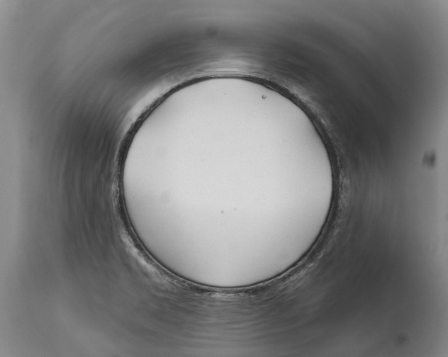 X0000114161469200911051453