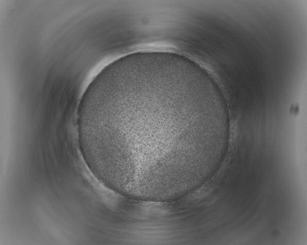 X0000114161470200911051453