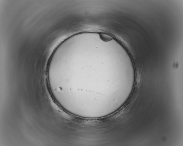 X0000114161471200911051453