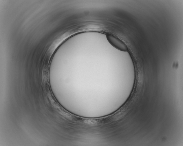 X0000114161473200911051453