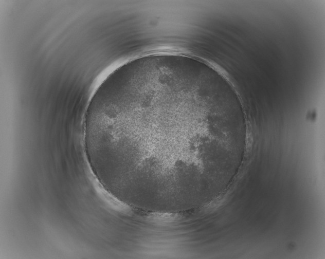 X0000114161474200911051453