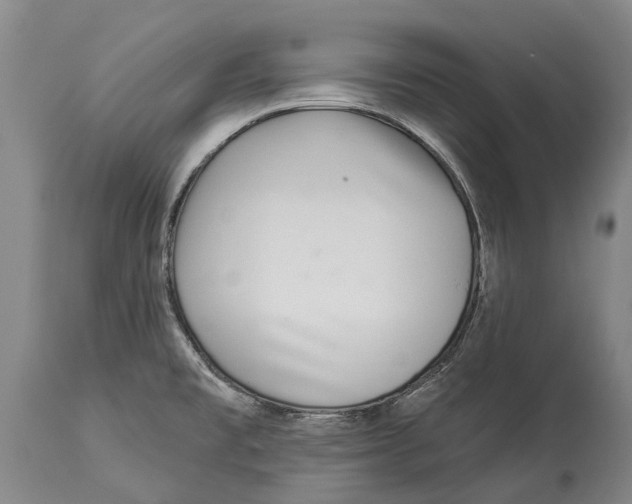 X0000114161477200911051453