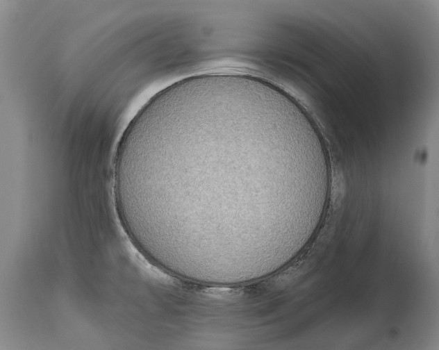 X0000114161478200911051453