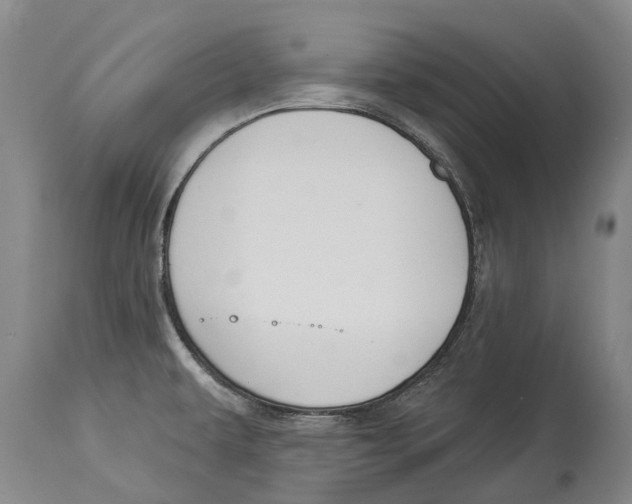 X0000114161479200911051453