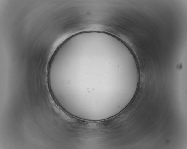 X0000114161480200911051453