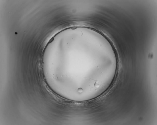 X0000114161481200911051453