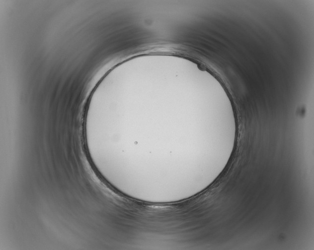 X0000114161483200911051453