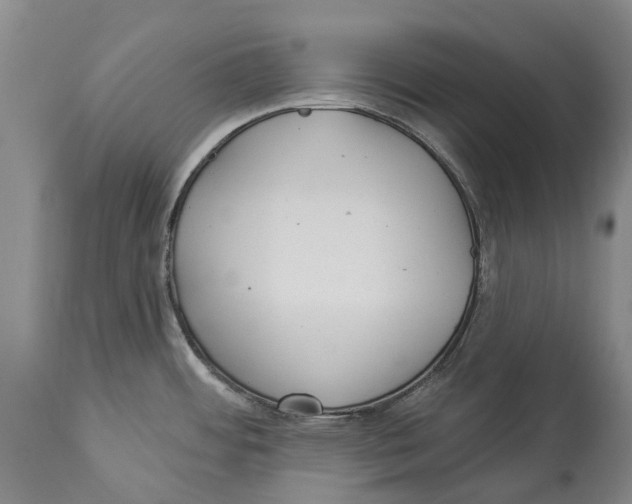 X0000114161484200911051453