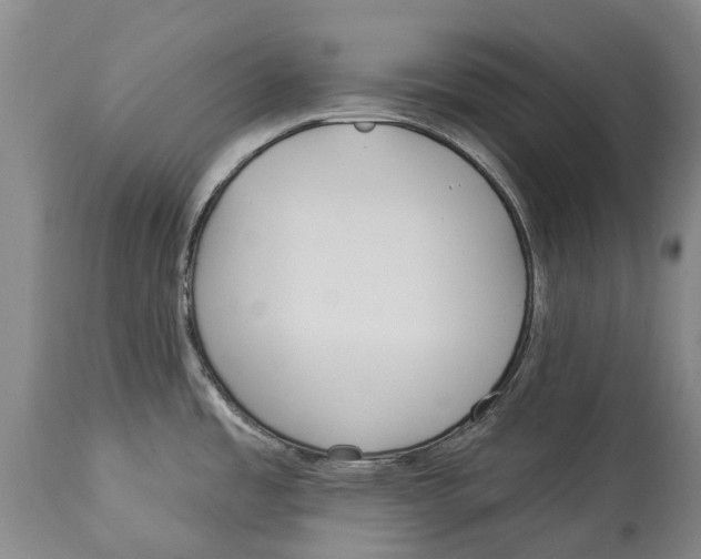 X0000114161485200911051453