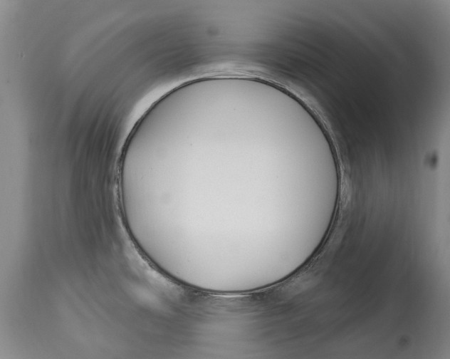 X0000114161486200911051453