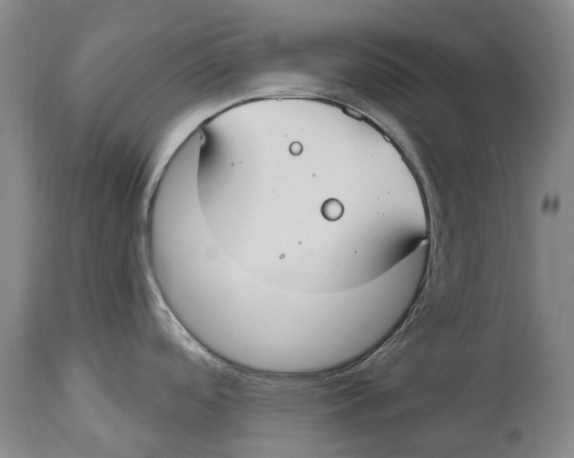 X0000114161488200911051453