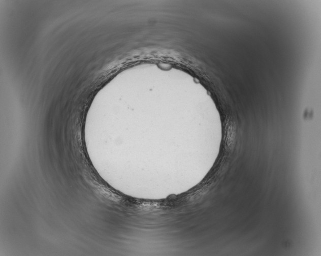 X0000114161489200911051453