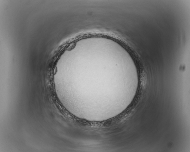 X0000114161494200911051453