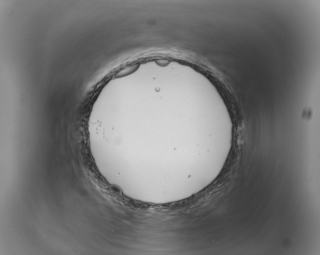 X0000114161496200911051453