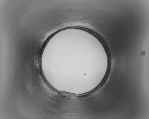 X0000114161497200911051453