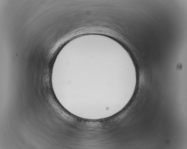 X0000114161498200911051453