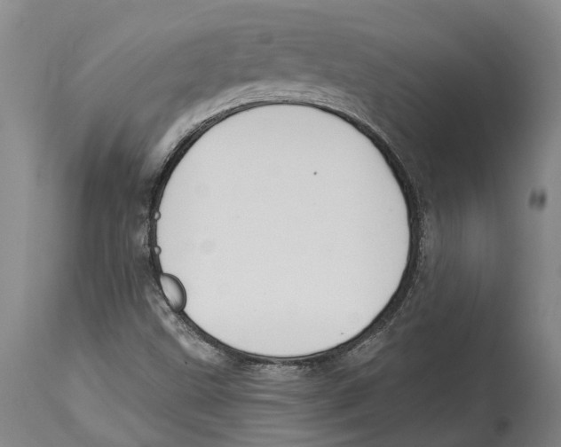 X0000114161499200911051453