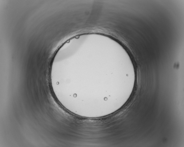 X0000114161500200911051453