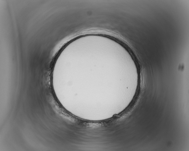 X0000114161501200911051453