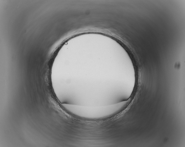 X0000114161502200911051453