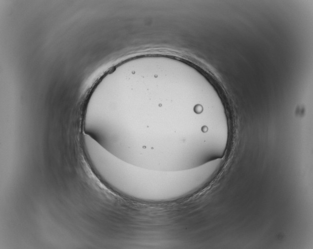 X0000114161504200911051453