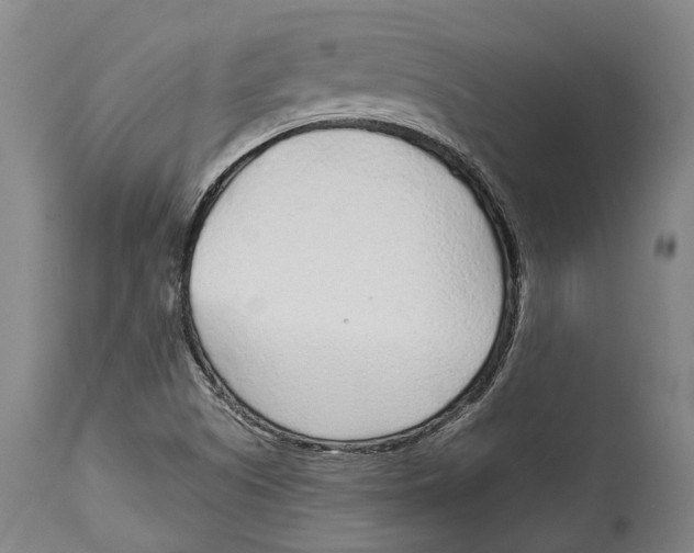 X0000114161505200911051453